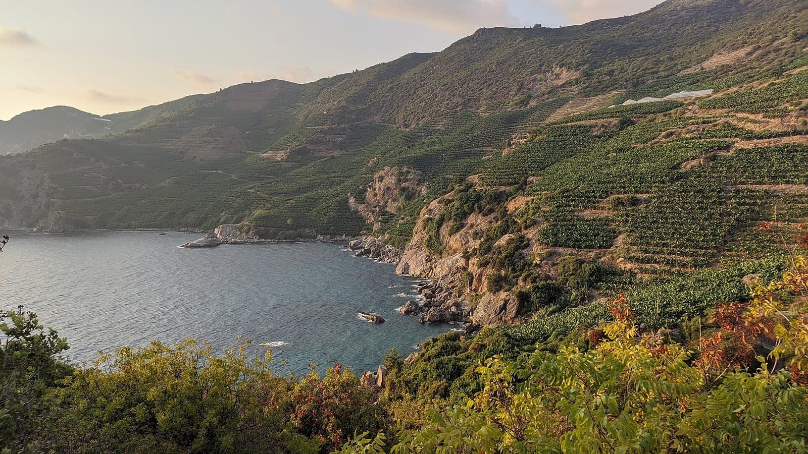 Golful Kral Koyu din Gazipaşa, cu terase pe dealurile de deasupra